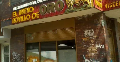 EL NUEVO NOVILLO DE ORO EL NUEVO NOVILLO DE ORO